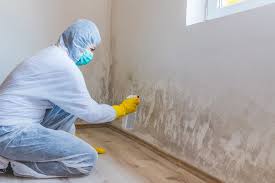 Mold Documentation for Insurance Claims in Lithopolis, OH